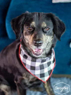 Gingham Me to Sleep Pet Bandana