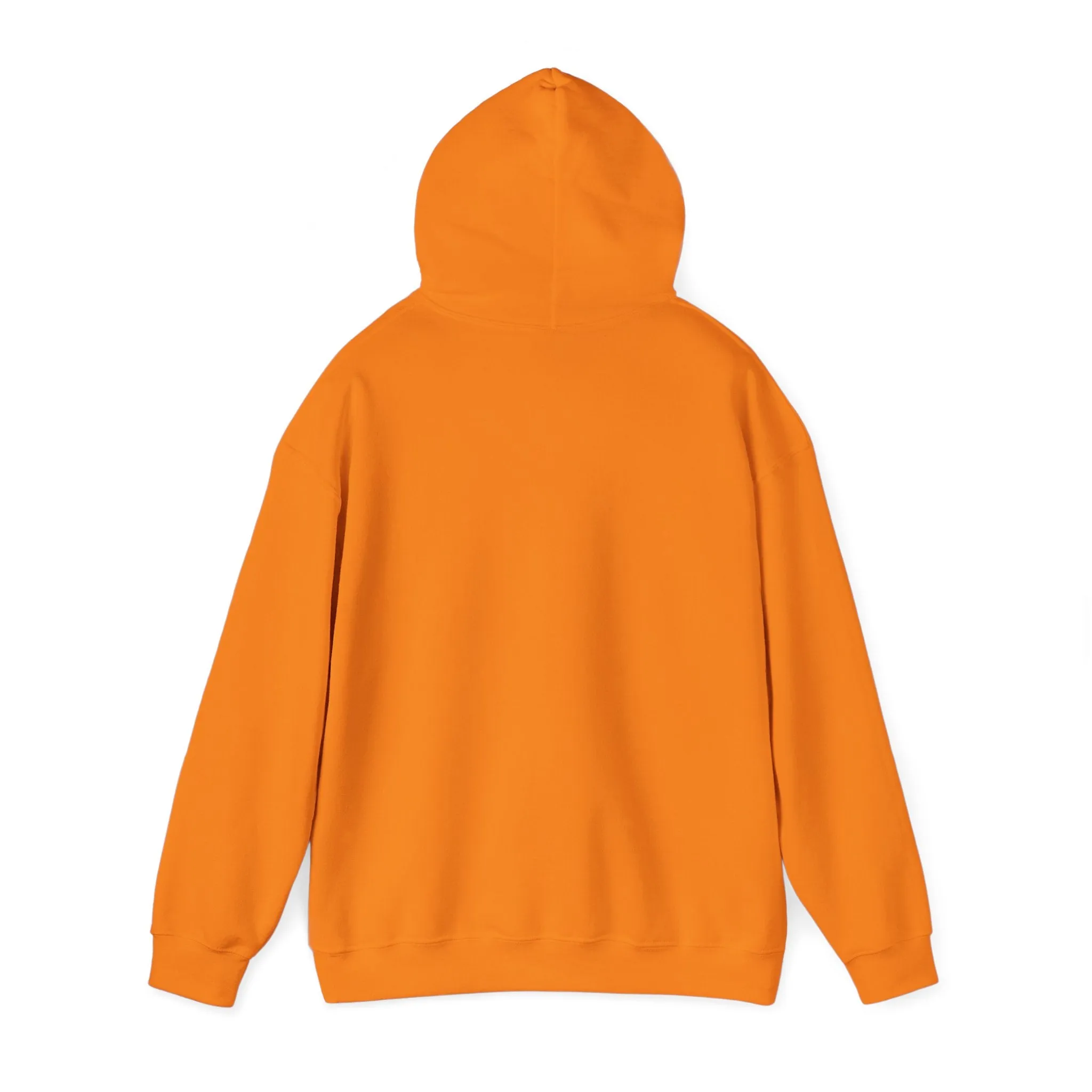 Hooded sweatshirt, a warm and comfortable choice for chilly days