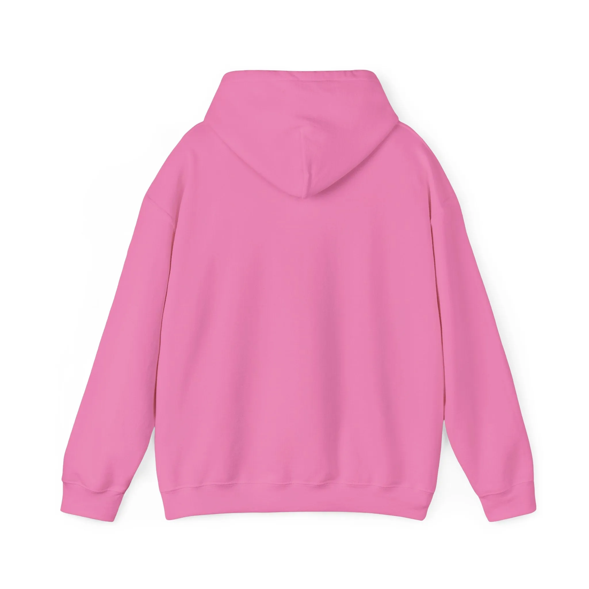 Hooded sweatshirt, a warm and comfortable choice for chilly days