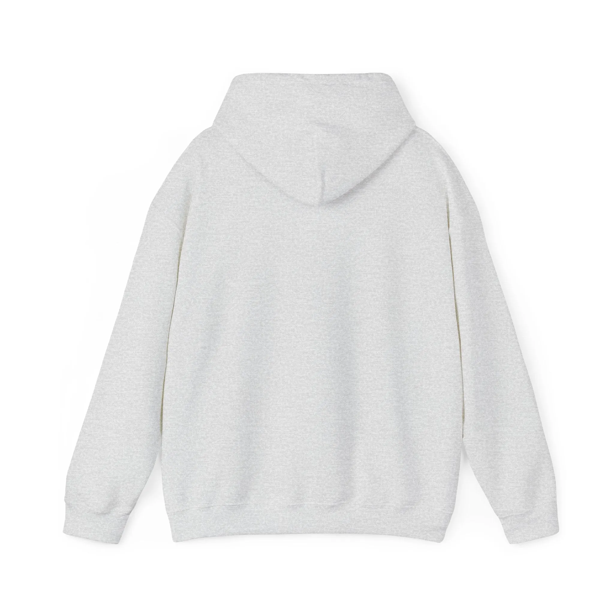 Hooded sweatshirt, a warm and comfortable choice for chilly days