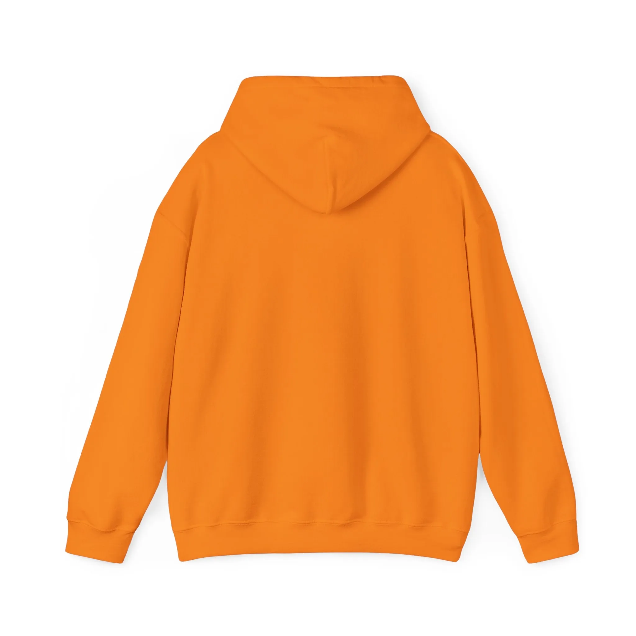 Hooded sweatshirt, a warm and comfortable choice for chilly days